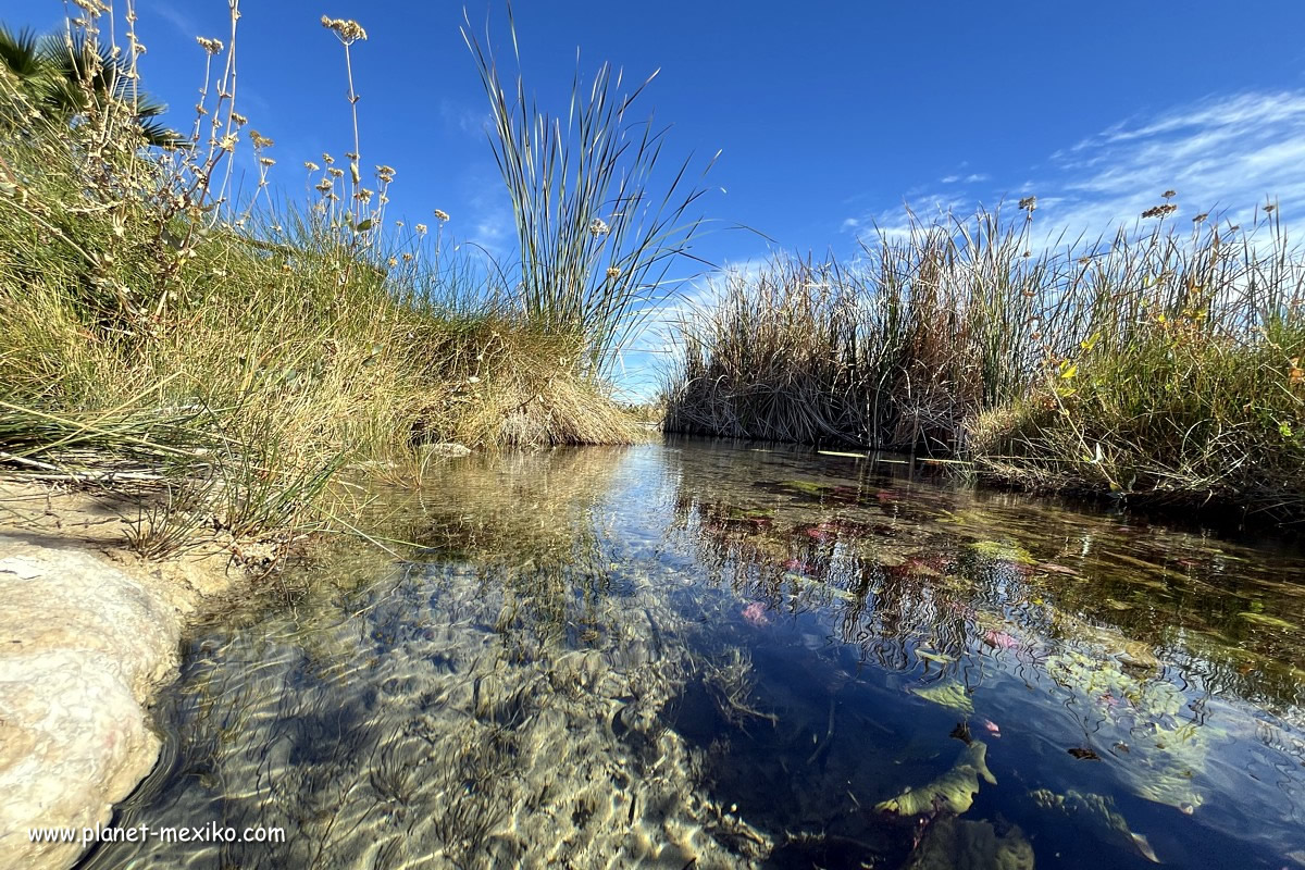 Rio Mezquites Cuatro Cienegas