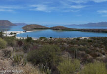 Roadtrip von Kalifornien in den USA nach Baja California in Mexiko