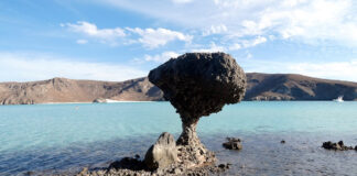Rundreise auf der Baja California in Mexiko