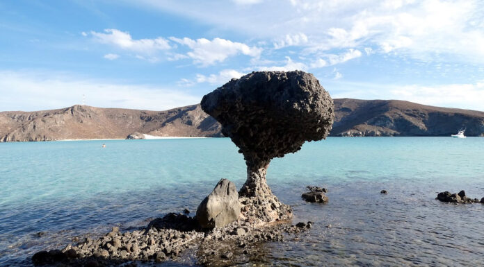 Rundreise auf der Baja California in Mexiko