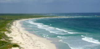 Sandstrand Insel Cozumel in Mexiko