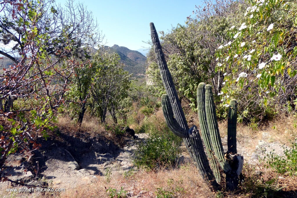 Wanderweg durch die Sierra Madre