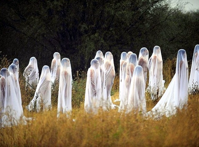 Amerikanischer Künstler Spencer Tunick