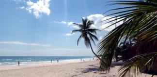 Die Halbinsel Yucatán – Karibische Strände, Meer und mehr Strandferien in Tulum