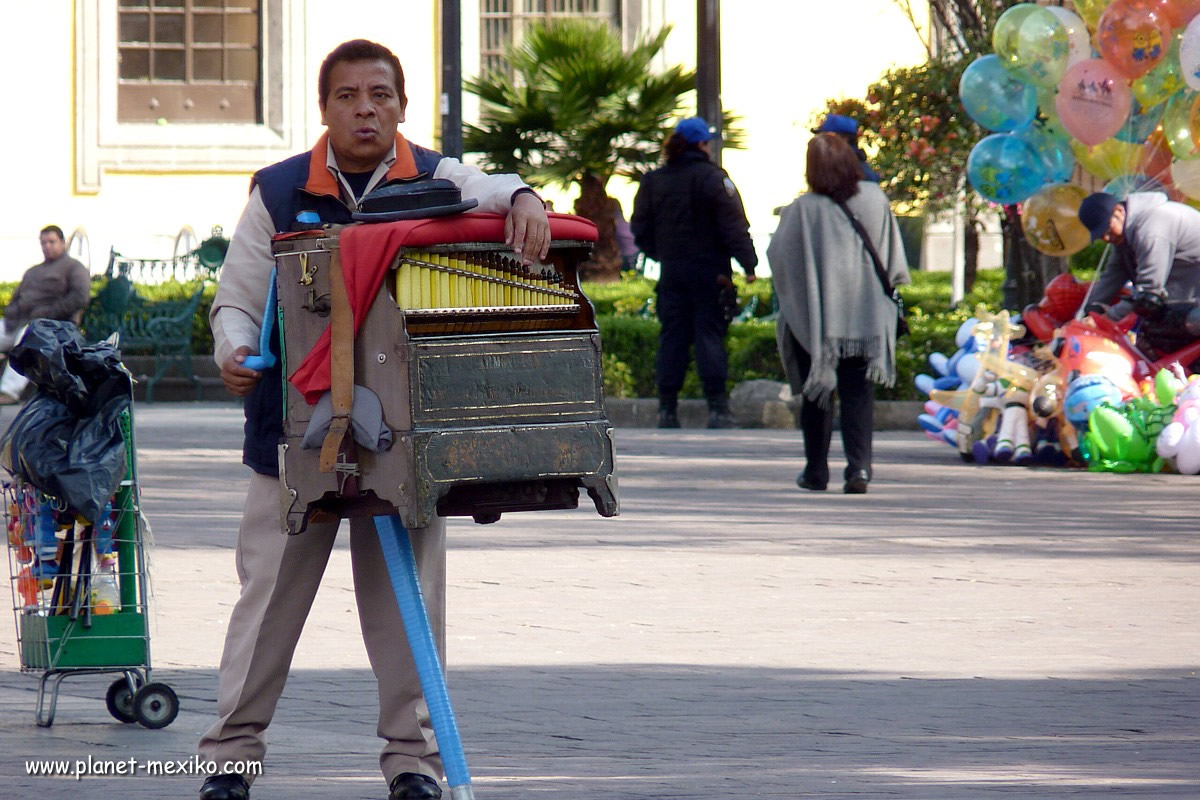 Strassenmusiker in Coyoacán