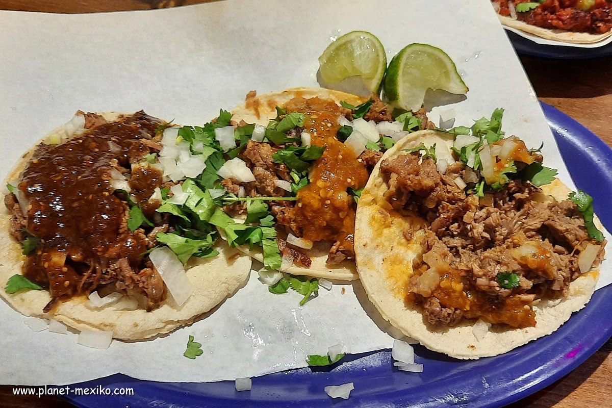 Tacos in der Taqueria El Oso in Berlin