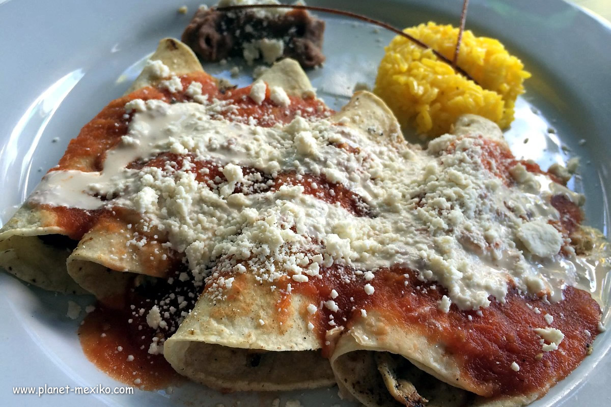 Mexikanisches Gericht mit Tortillas und Fleisch