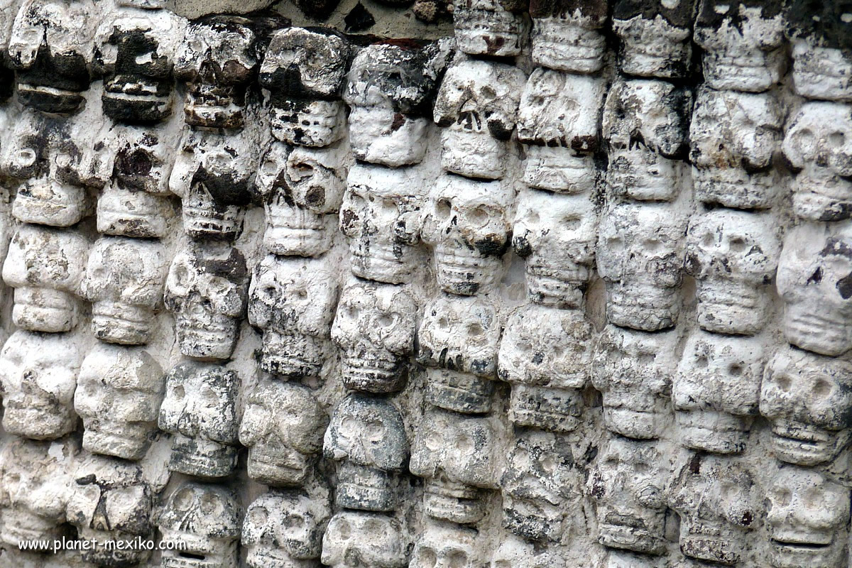 Totenköpfe am Templo Mayor