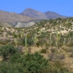 Wandern, Trekking und Bergsteigen in Mexiko