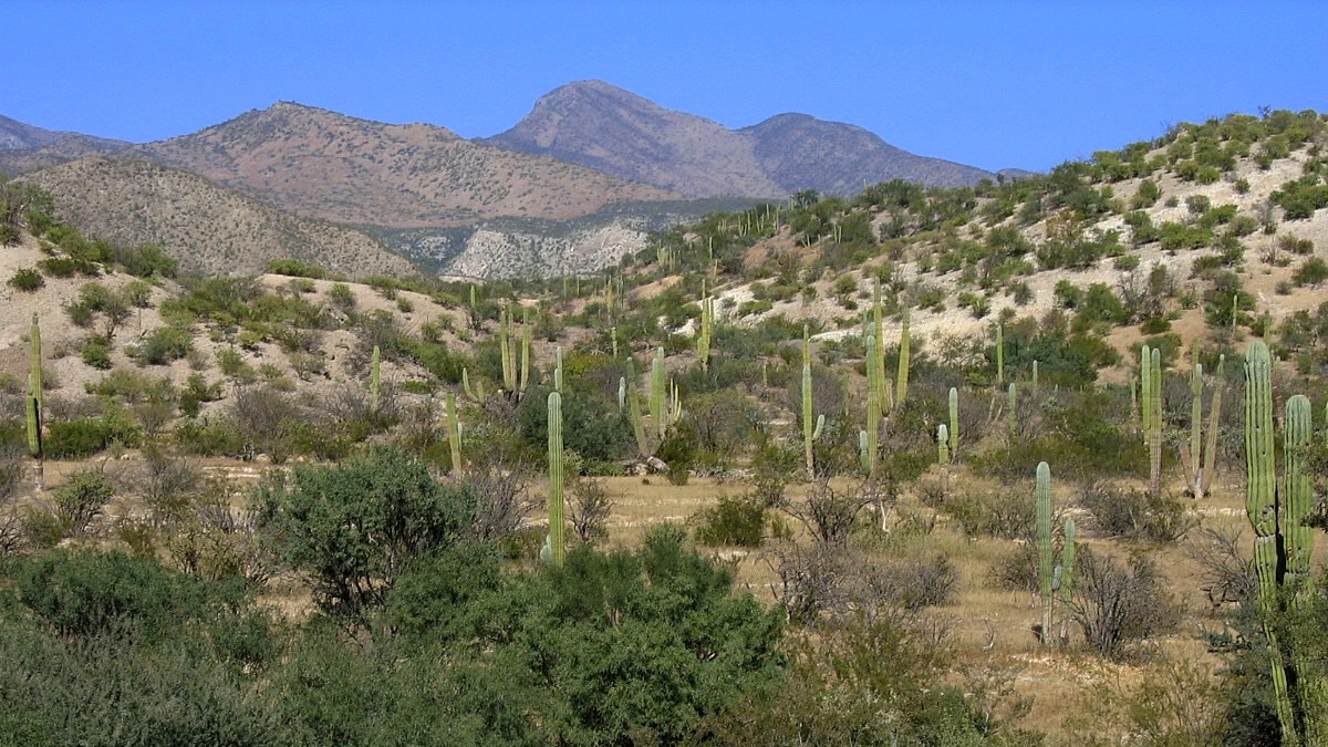 Wandern, Trekking und Bergsteigen in Mexiko