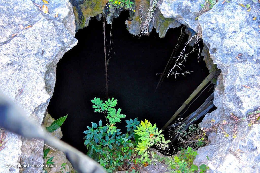 Unterwasserhöhle Cenote auf Yucatán