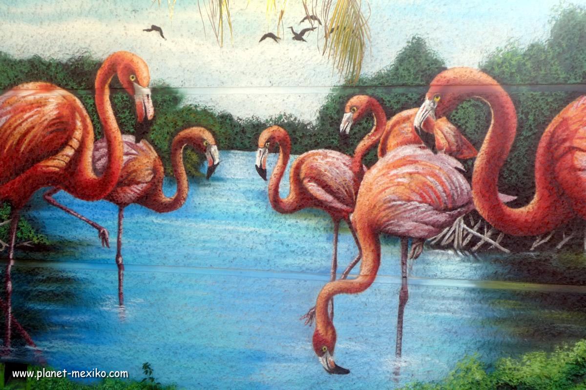 Wandbild Flamingos in Celestún