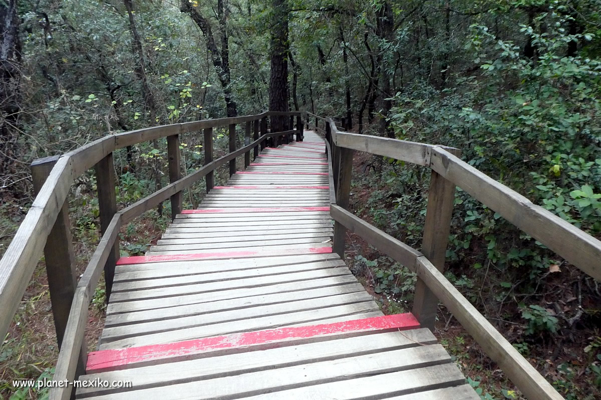 Wandern im Chipinque Parque Ecologico bei Monterrey