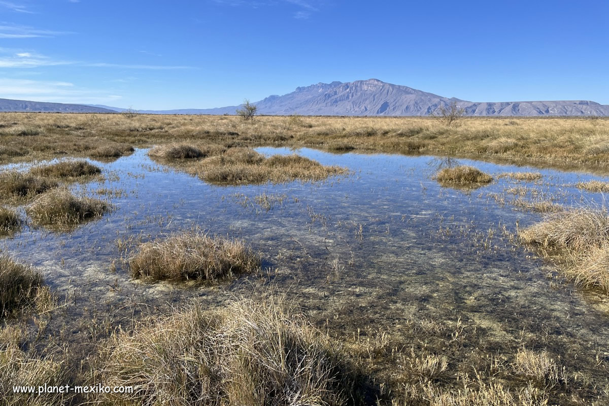 Wüstenlandschaft mit Lagunen Coahuila Norden Mexikos