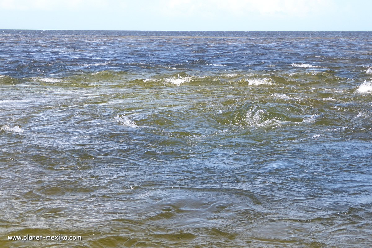 Xbuya Ha Ojo de Agua und natürlicher Whirlpool